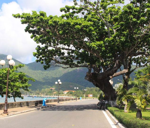 Côn Đảo