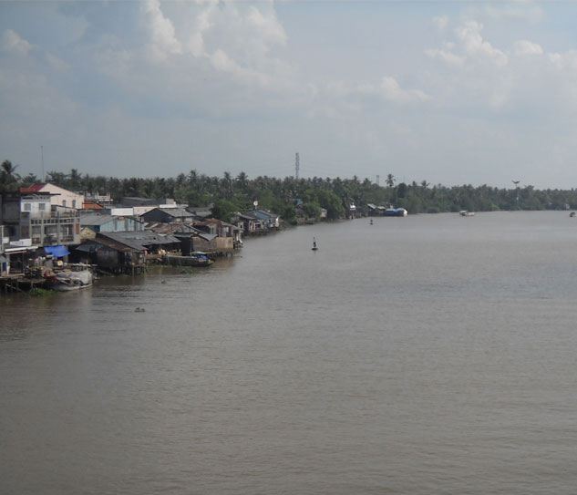Mang Thít