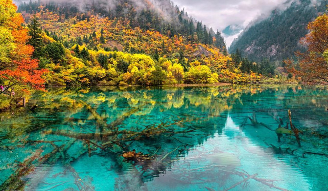 THÀNH ĐÔ - CỬU TRẠI CÂU - LẠC SƠN - CÔNG VIÊN GẤU TRÚC