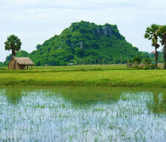 Khám Phá Sài Gòn Nhộn Nhịp và Đảo Ngọc Phú Quốc