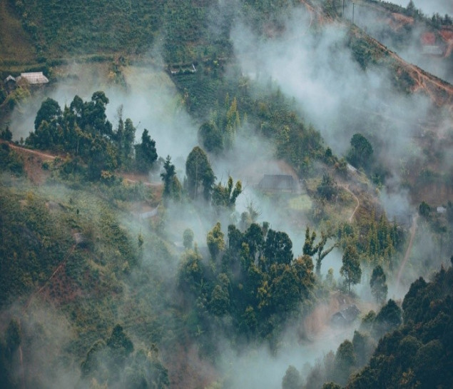 Săn Mây Tà Xùa - Bắc Yên